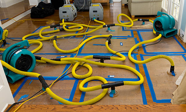 Professional Basement Flood Cleanup technician working in Kimball, TN